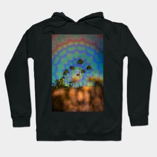 Sinergia Hoodie